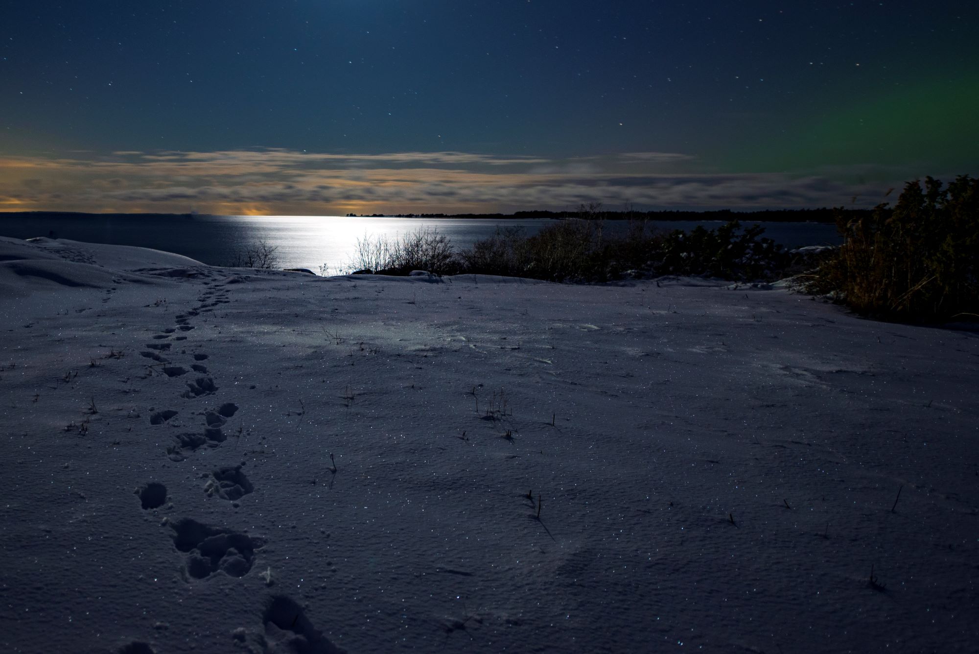 Spår i snö vid strand