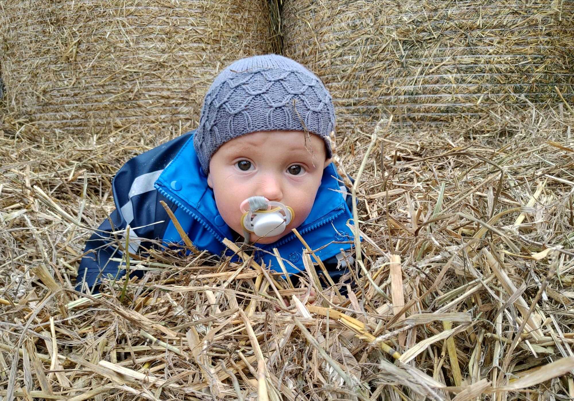 Barn på halmbal