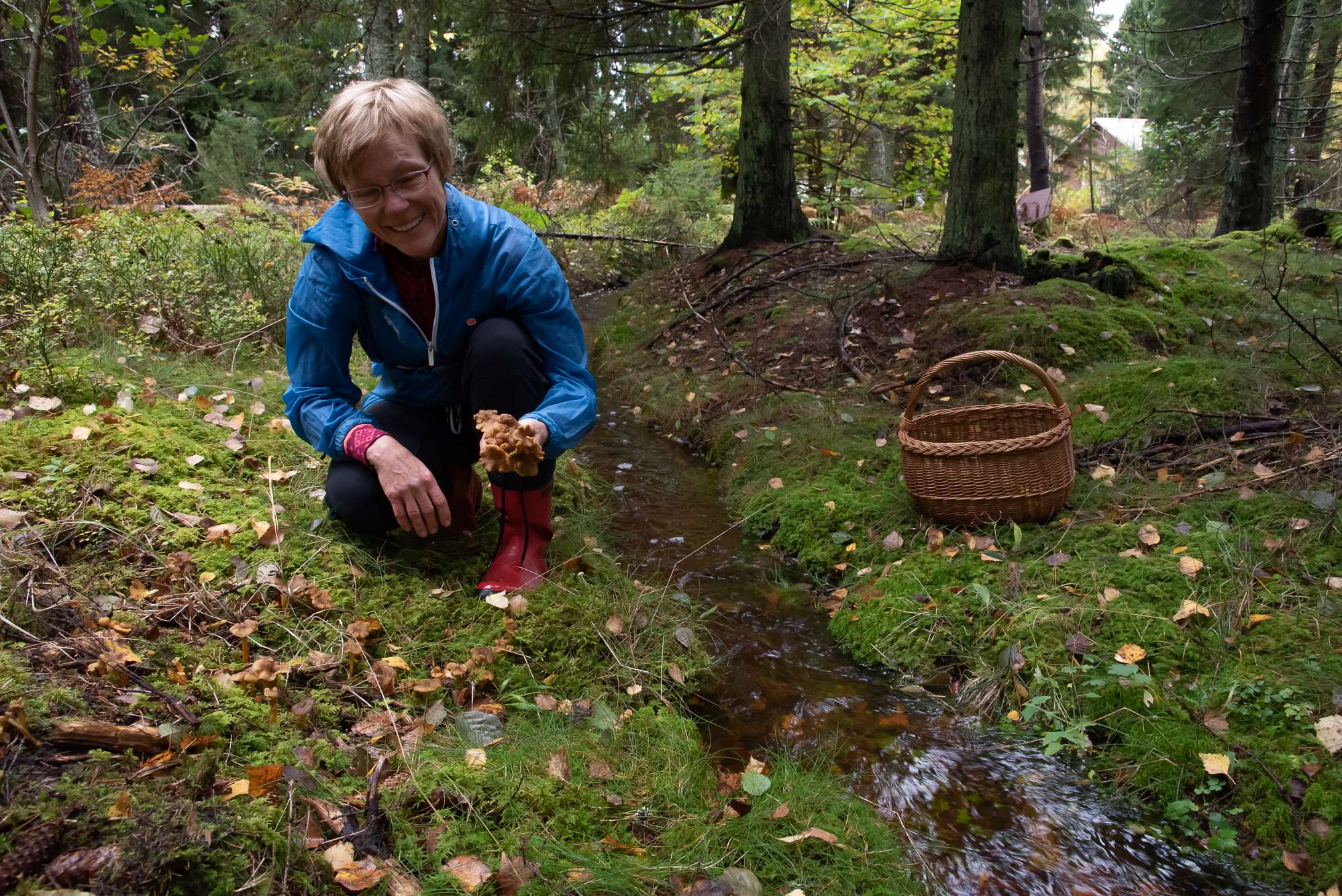 Kvinna i skogen plockar svamp