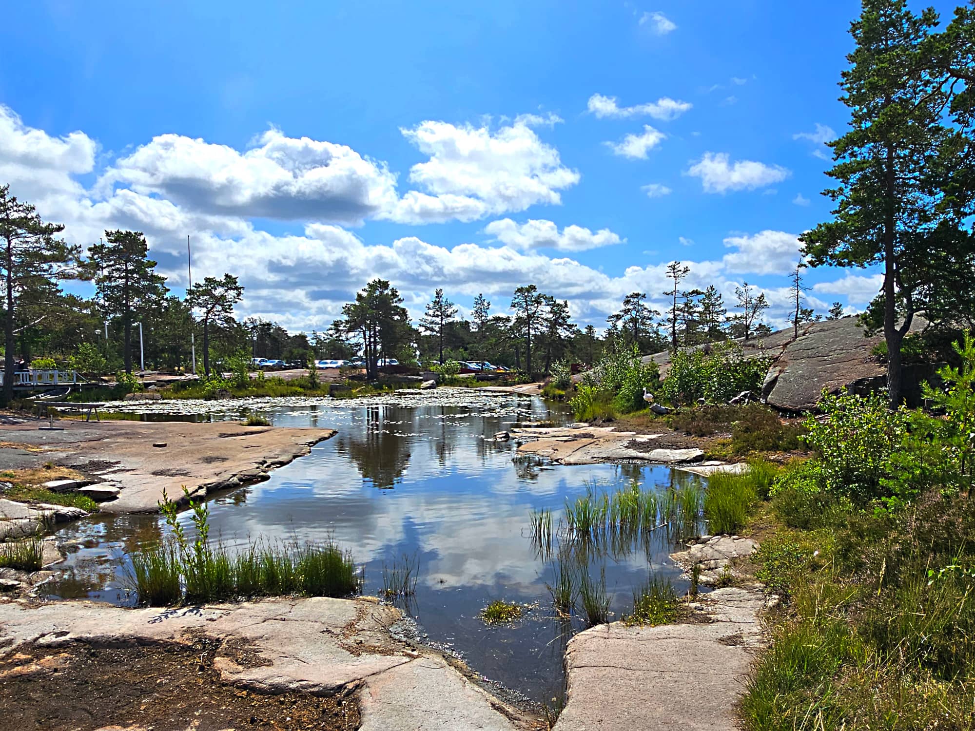 Vy över en damm uppe på ett högt berg. Sommardag.